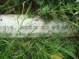 image of grave number 613597